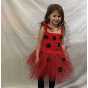 תחפושת חיפושית